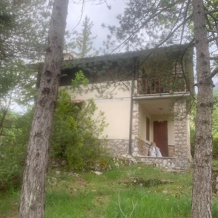 Esclusivo Chalet Immerso Nel Verde Filettino Exterior photo